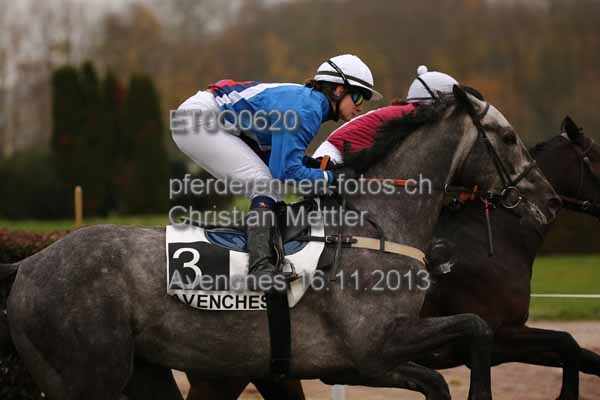 ET0Q0620 prot